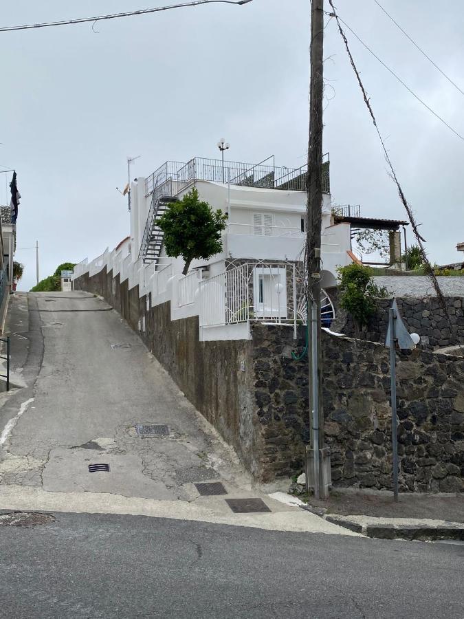 Porcavilla B&B Ischia Eksteriør billede